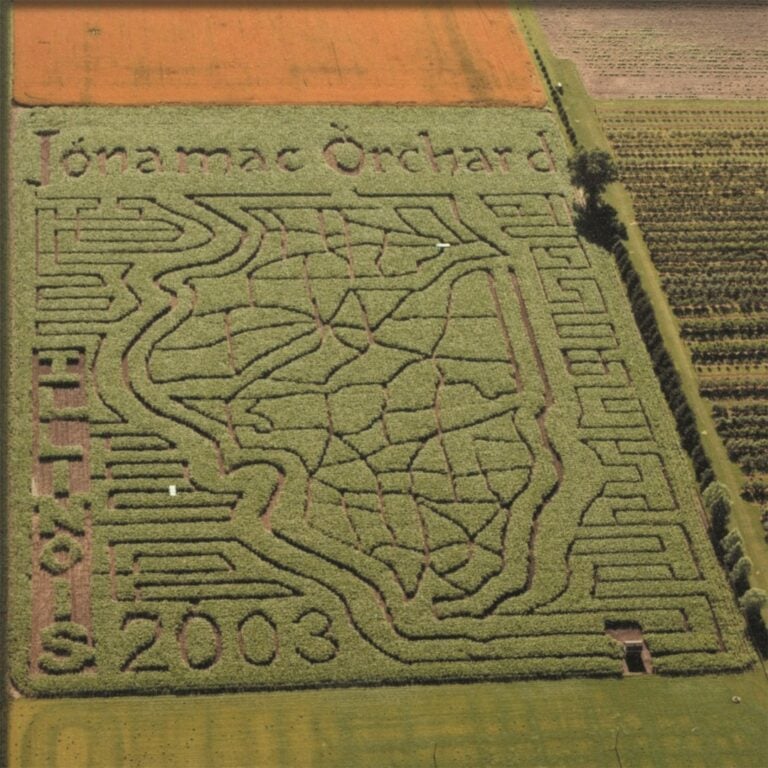 Maze in cornfield at Jonamac Orchard, Illinois, 2003.
