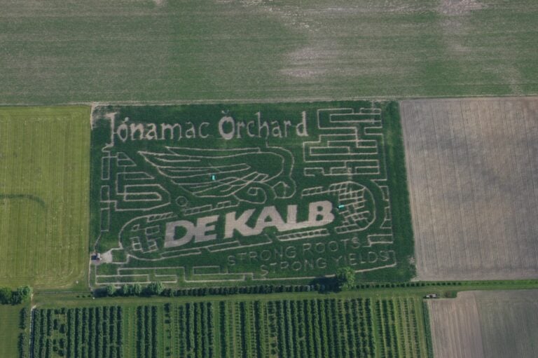 Aerial view of corn maze advertising DeKalb.