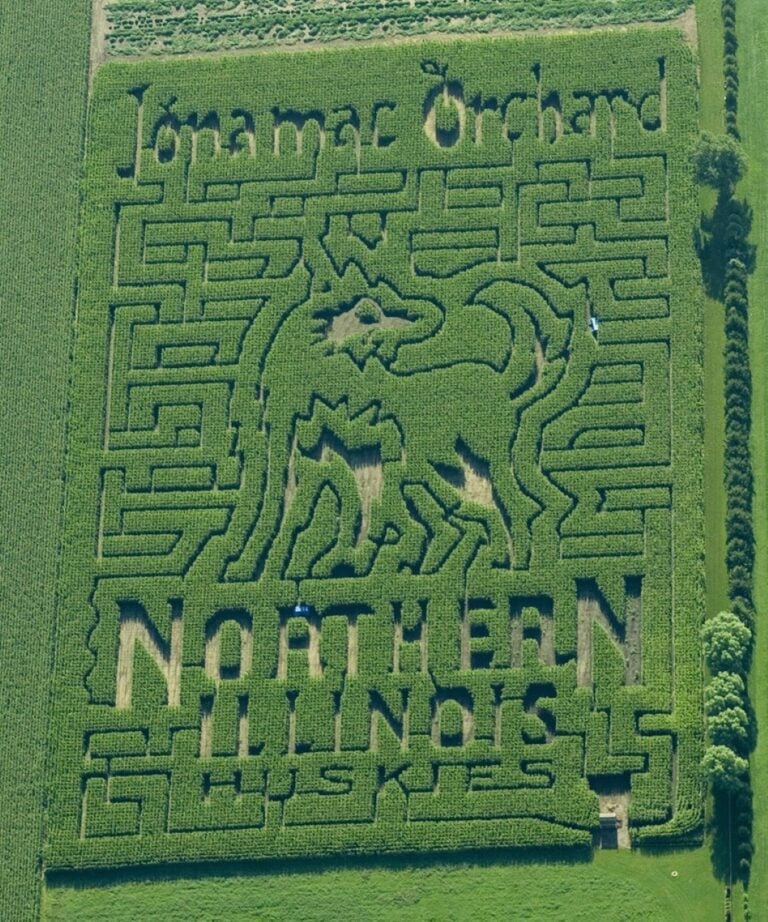 Corn maze featuring Northern Illinois Huskies logo.