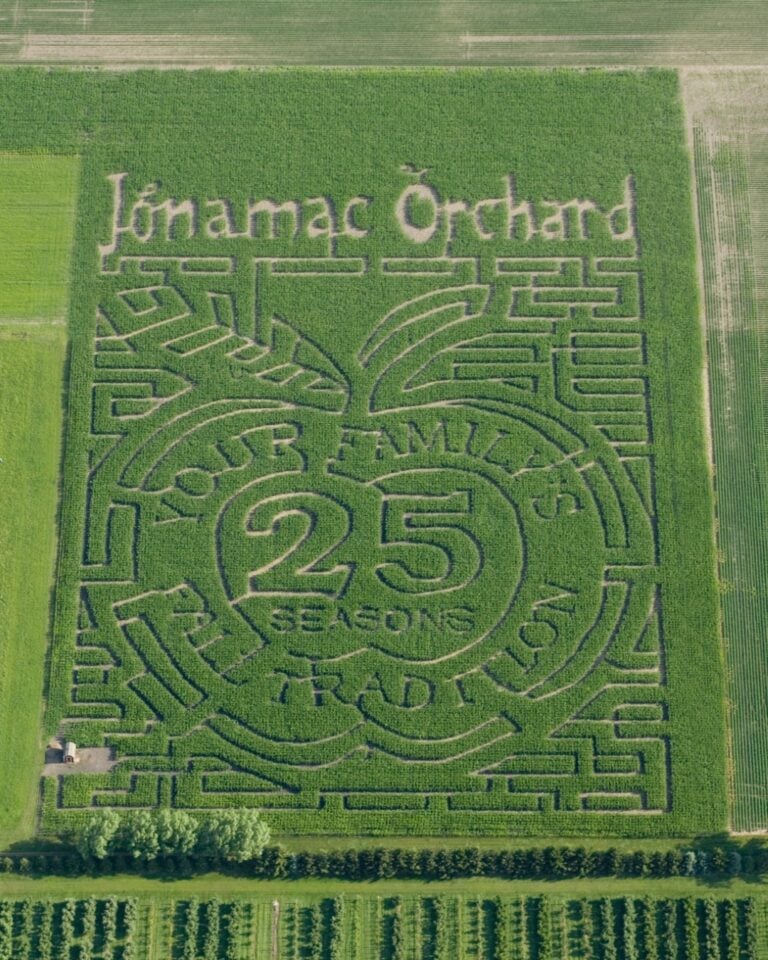 Corn maze celebrating 25 seasons, aerial view.