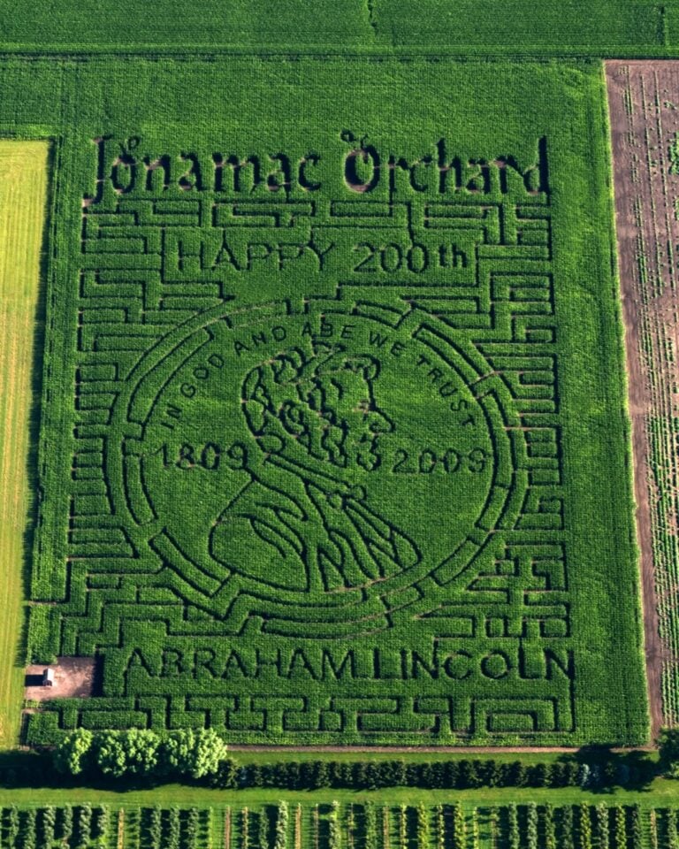 Corn maze depicting Abraham Lincoln design.