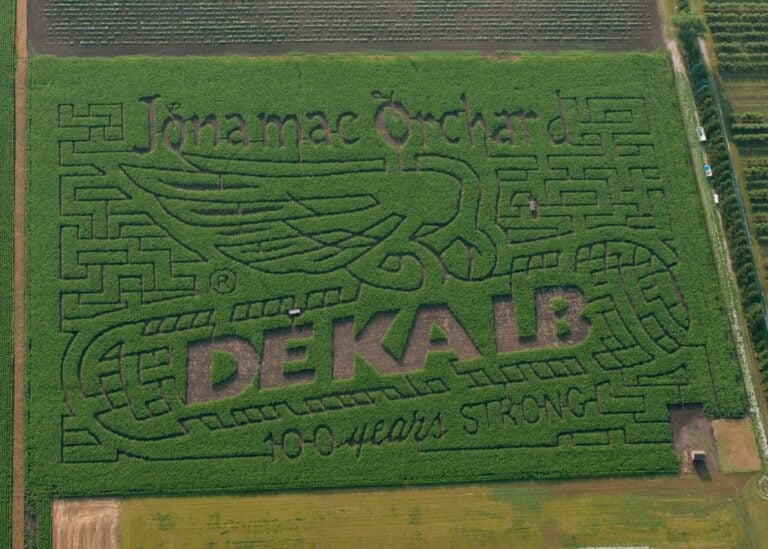 Corn maze with Jonamac Orchard and DeKalb logos.