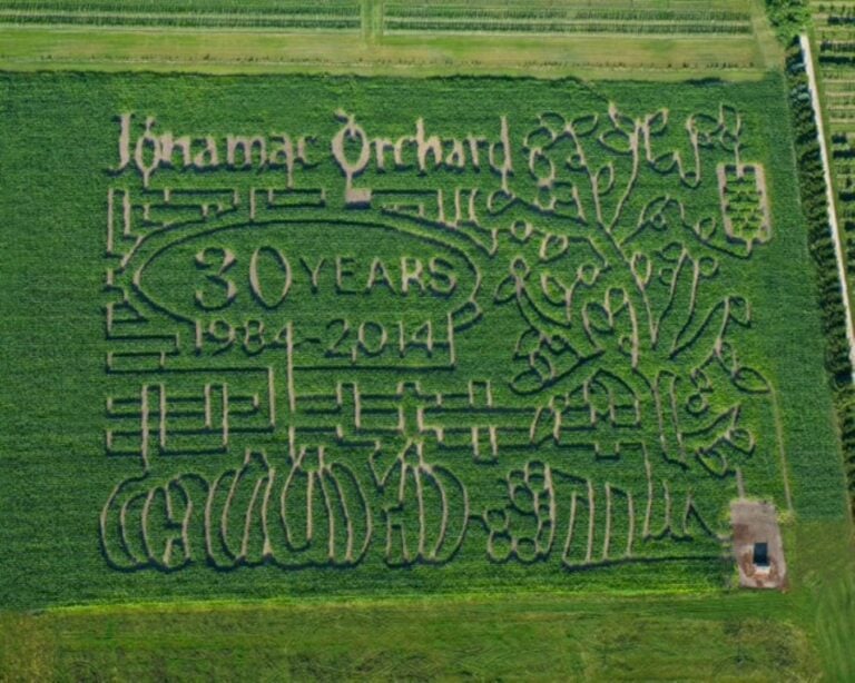 Corn maze celebrating Jonamac Orchard's 30th anniversary.