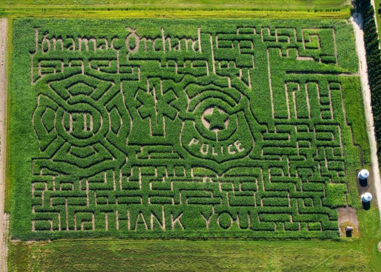 Intricate corn maze with emergency service symbols.