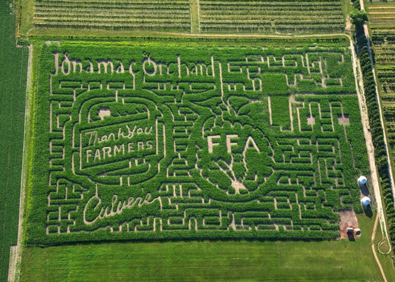 Aerial view of intricate corn maze design.