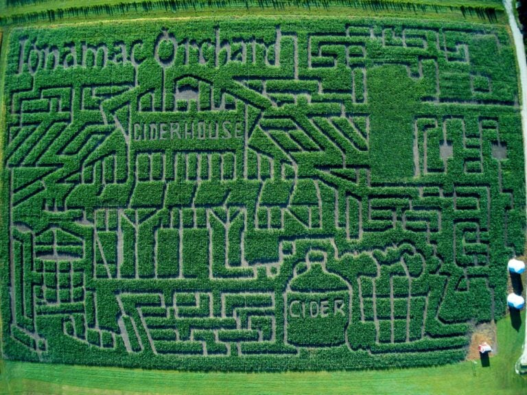 Aerial view of corn maze with orchard theme.