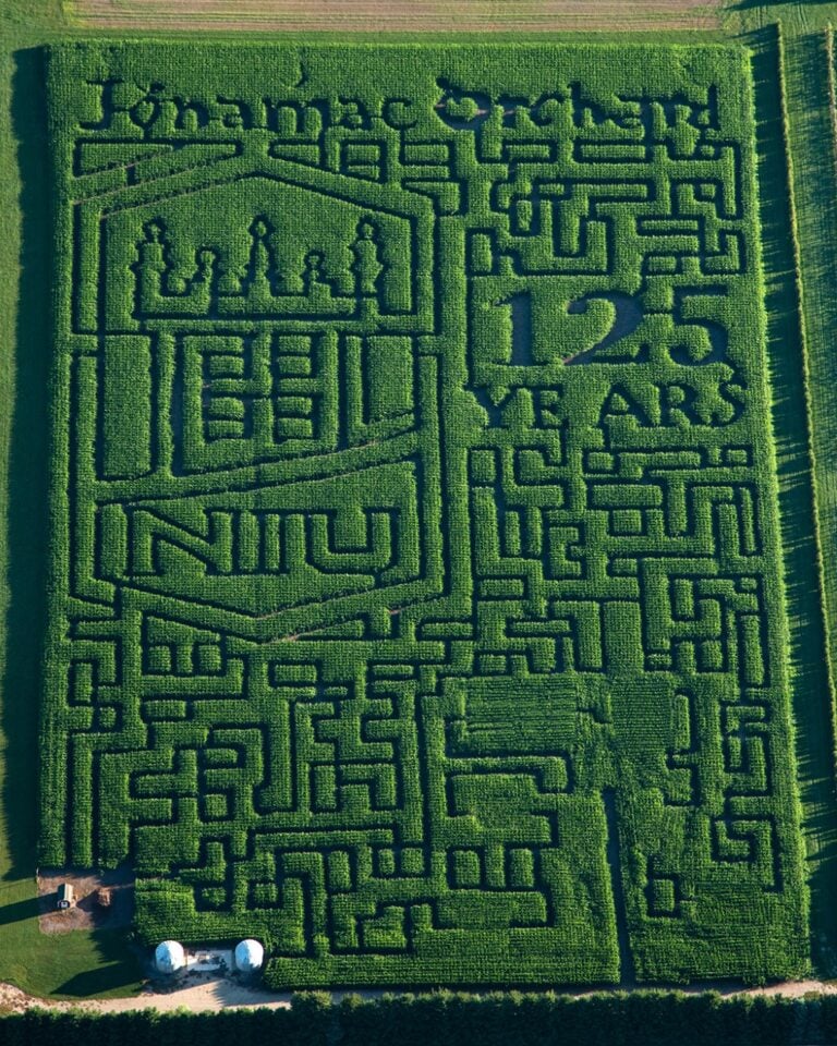 Aerial view of a detailed corn maze design.