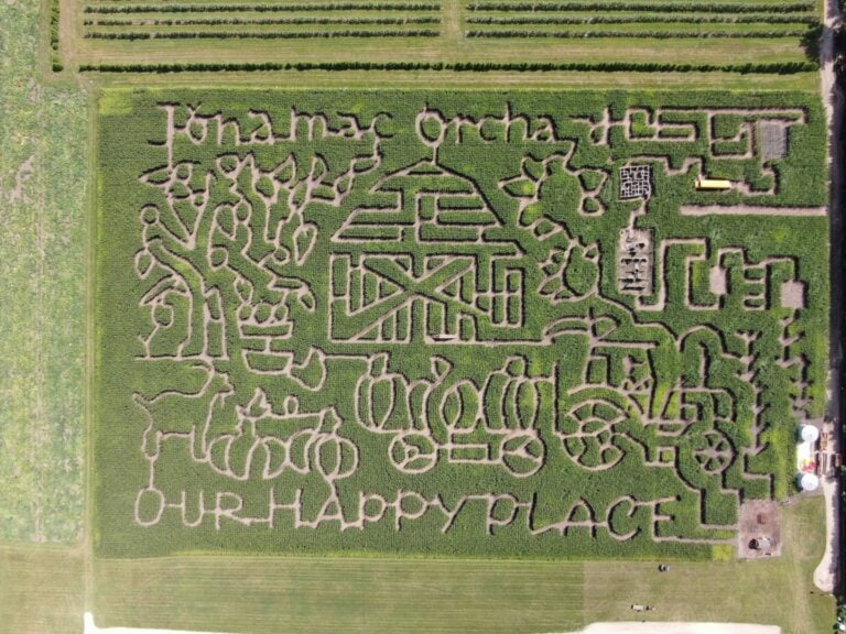 Aerial view of corn maze with farm theme.