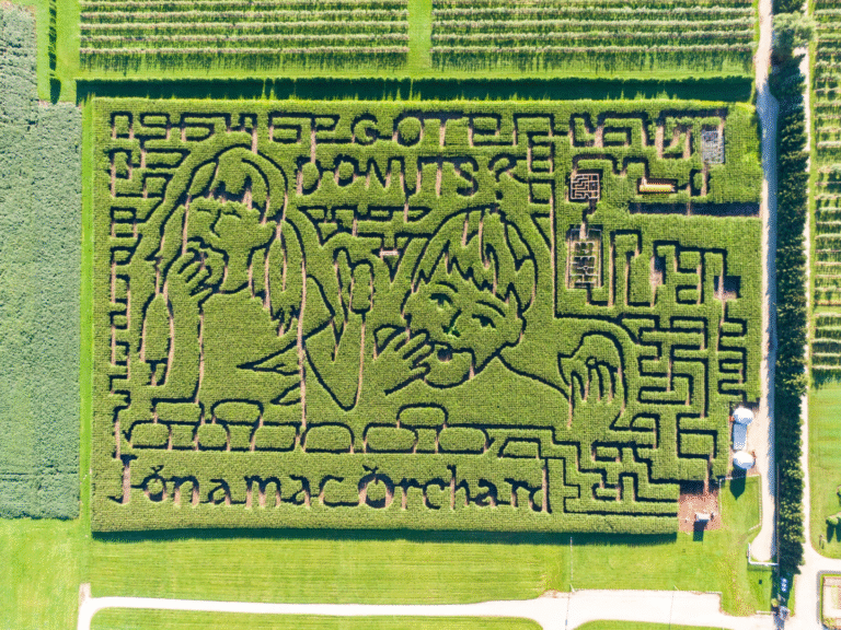 Aerial view of intricate corn maze.