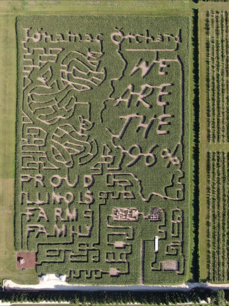 Corn maze with intricate designs and text.