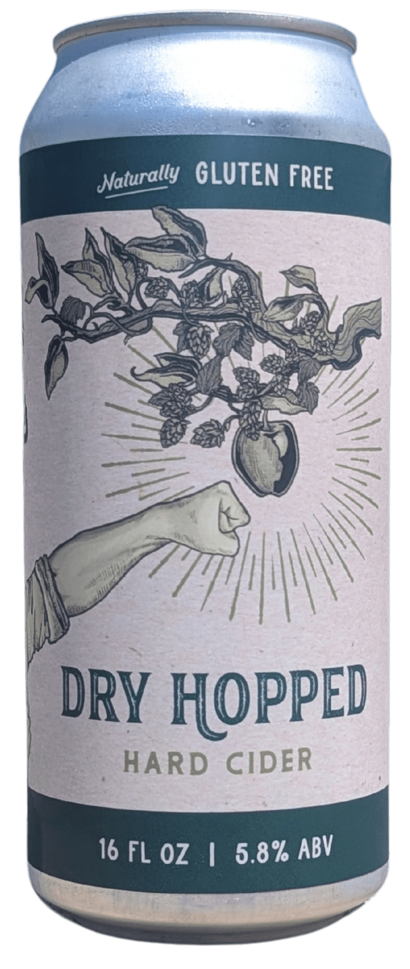 Gluten-free dry hopped hard cider can, 16 oz, 5.8% ABV