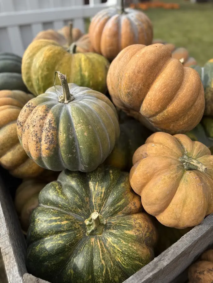 Various pumpkins in a wooden crate