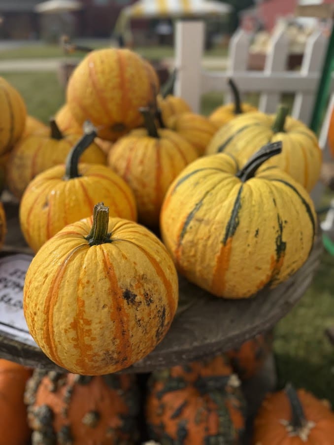 Small striped pumpkins on a wooden table