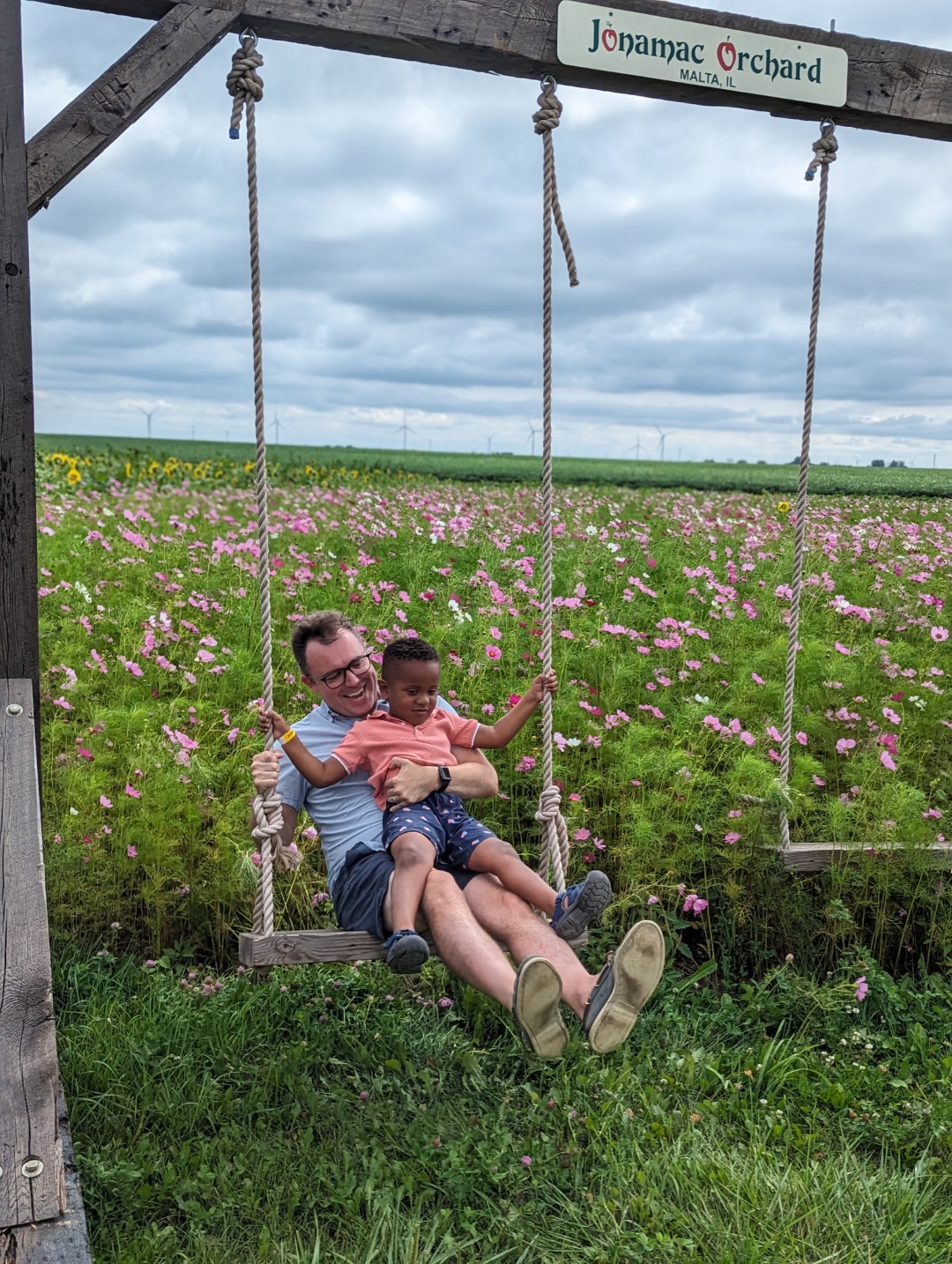 People swinging at Jonamac Orchard in flower field.