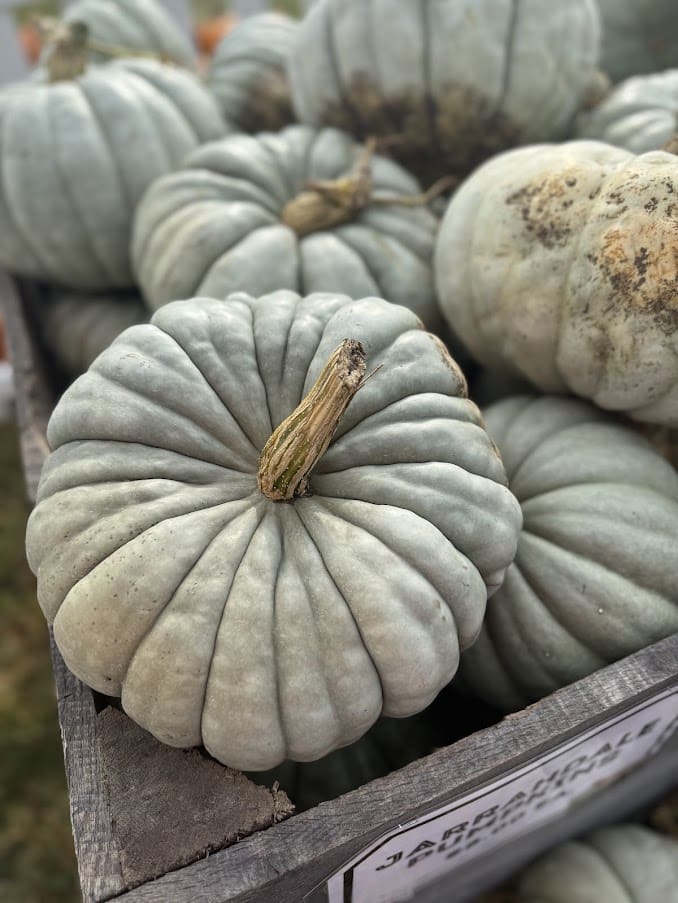 Gray pumpkins stacked in a wooden crate