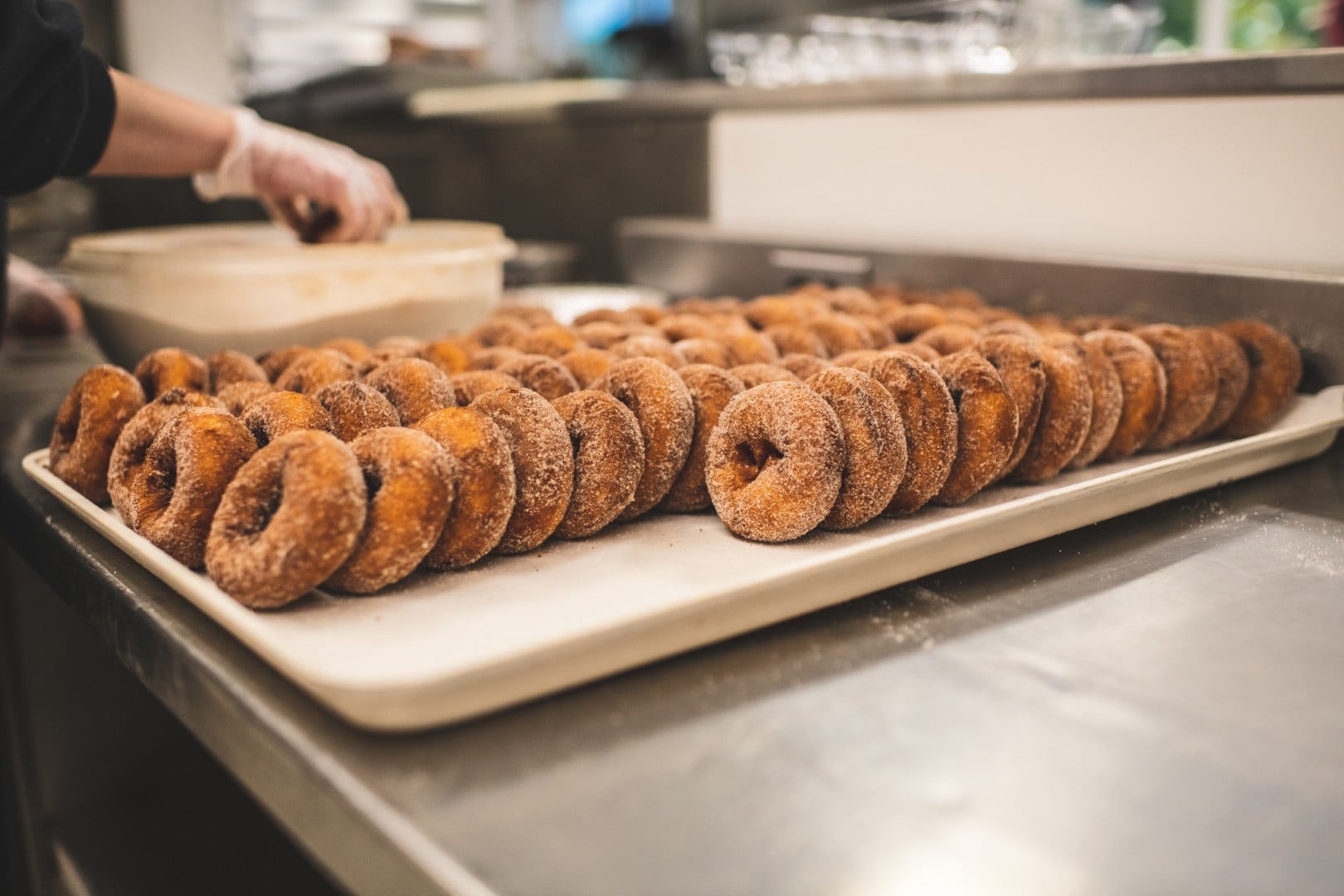 Tray of fresh sugar-coated donuts in kitchen