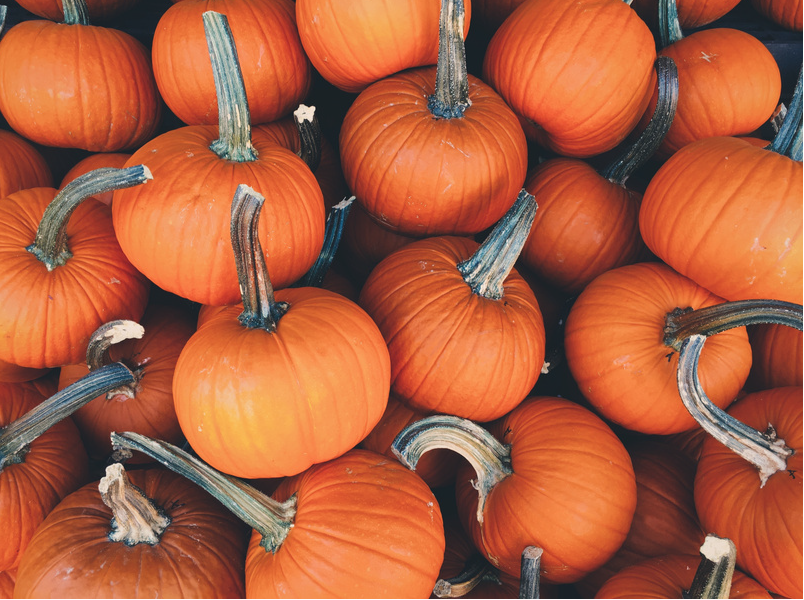 Pile of bright orange pumpkins with stems