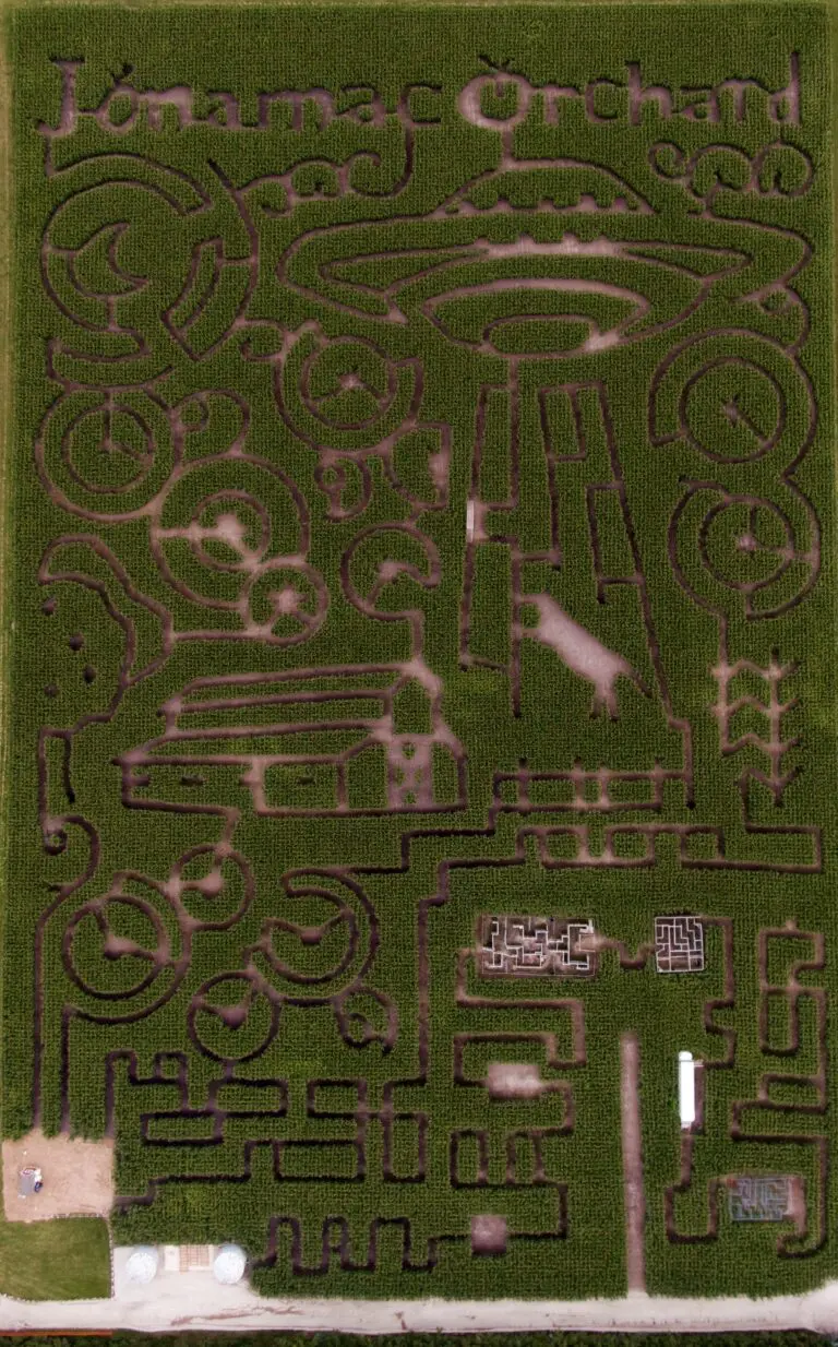 Corn maze aerial view with alien spaceship design.